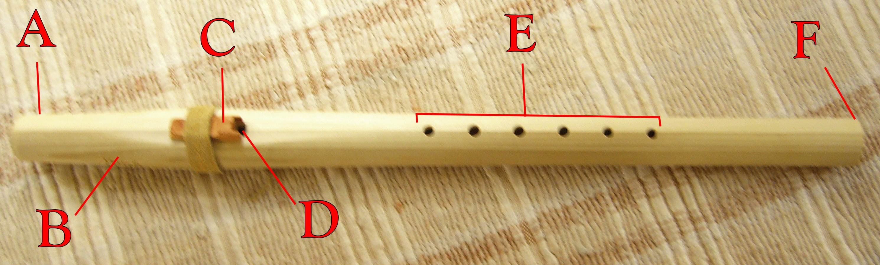 flute anatomy